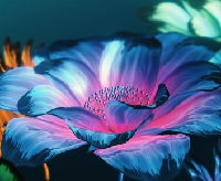 Red Giant Trapcode Suite 2025（AE红巨星粒子套装插件）图标